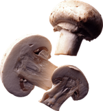 Mushroom Crepes